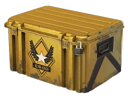 Winter Offensive Weapon Case