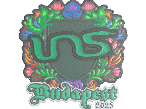 印花 | INS（刺绣）| 2025年布达佩斯锦标赛