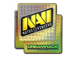 印花 | Natus Vincere（闪亮）| 2014年 DreamHack 锦标赛