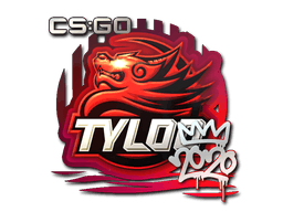 Klistermärke | TYLOO | 2020 RMR