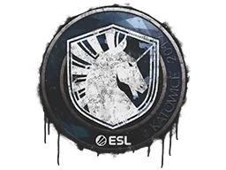 Sealed Graffiti | Team Liquid | Katowice 2019