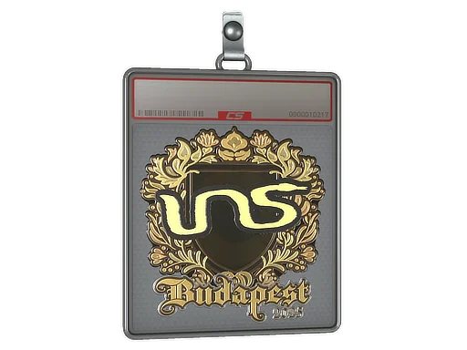 Sticker Slab | INS (Gold) | Budapest 2025