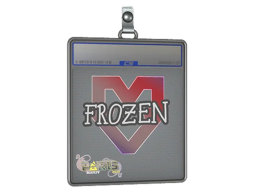Placa de pegatinas | frozen | París 2023