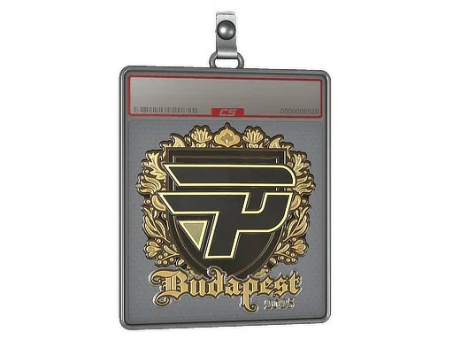 Placa de pegatinas | paiN Gaming (dorada) | Budapest 2025