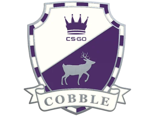 Cobblestone-pin