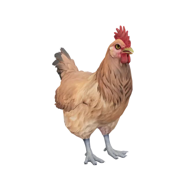 Pet Chicken | Catalana (Tan)