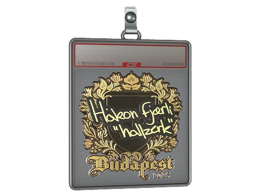 Aufkleberhülle | hallzerk (Gold) | Budapest 2025