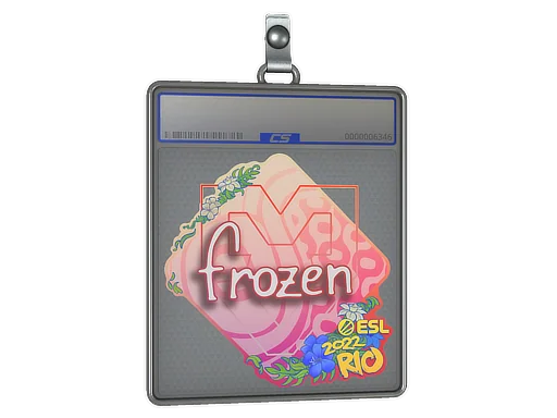 Placa de Adesivo | frozen | Rio 2022