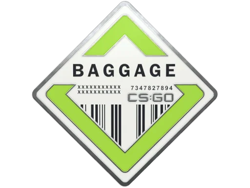 Baggage-pin