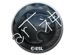 印花 | arT（闪亮）| 2019年卡托维兹锦标赛