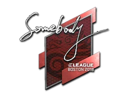 Naklejka | somebody | Boston 2018
