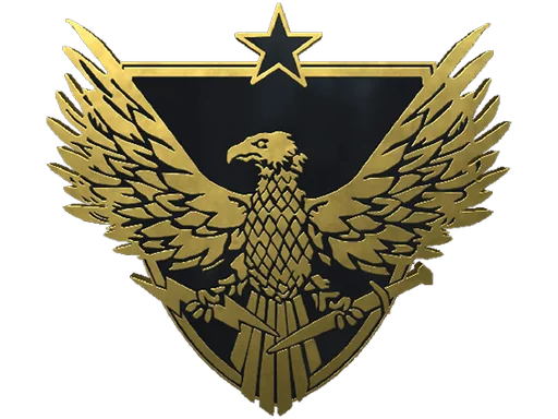 Brigadier General Pin