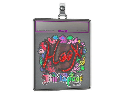 印花板 | HooXi（全息）| 2025年布达佩斯锦标赛