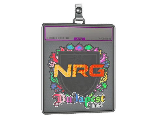 印花板 | NRG（全息）| 2025年布达佩斯锦标赛