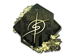 印花 | degster（金色）| 2022年里约热内卢锦标赛
